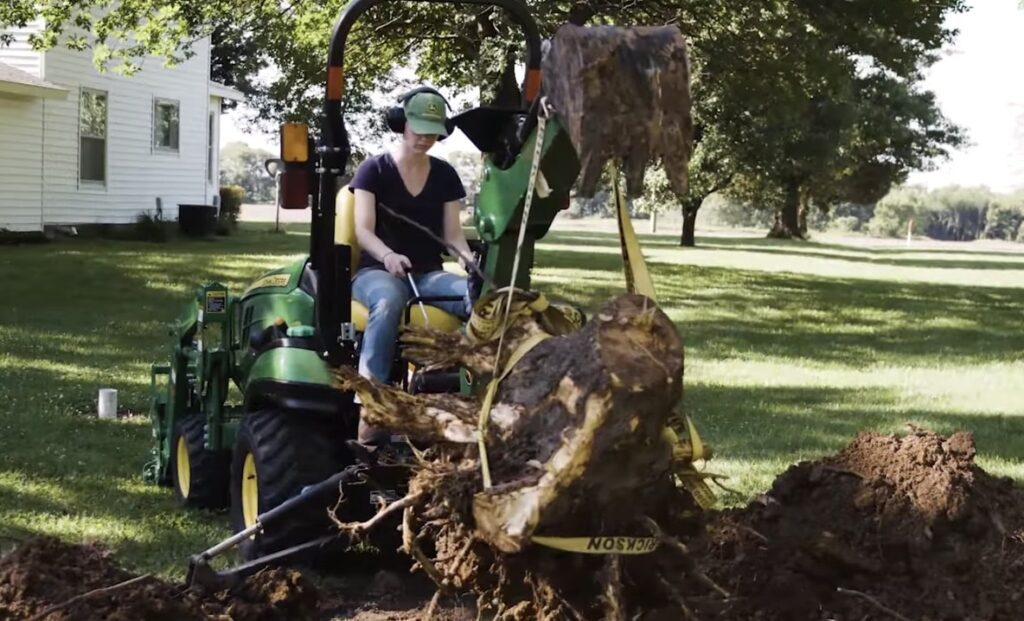 tree stump removal