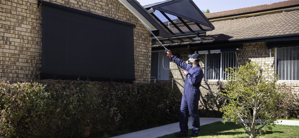 Termite Control Sydney: How to Protect Your Home Year-Round