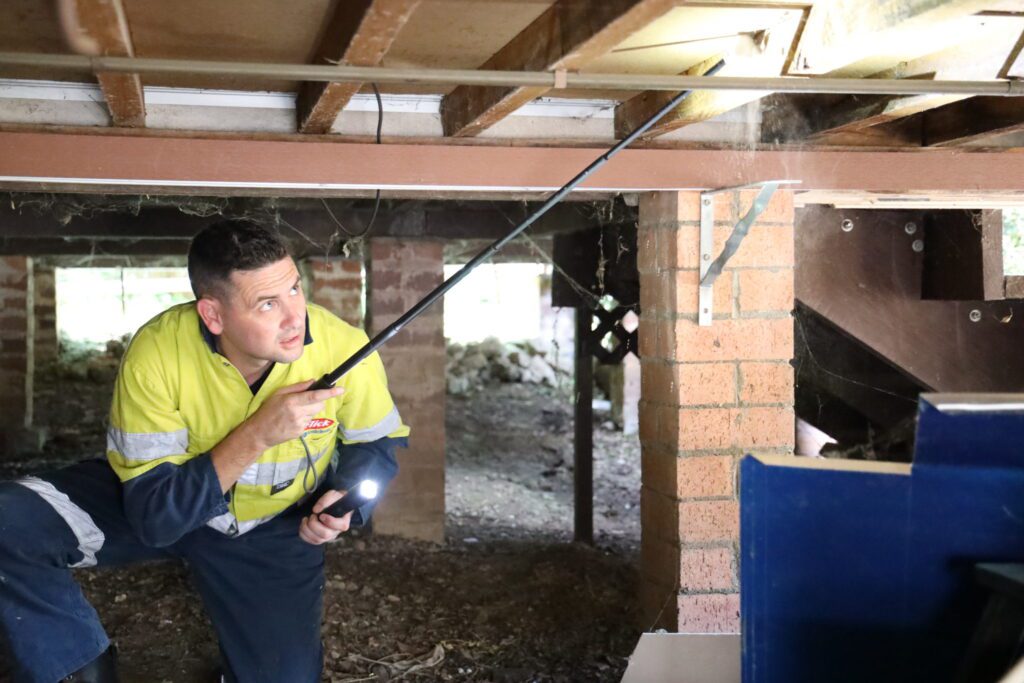 How Termite Barrier Sydney Systems Work to Keep Your Property Safe