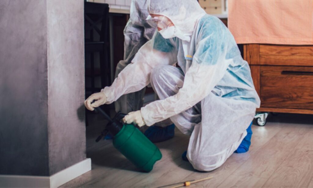 Sydney Pest Inspections