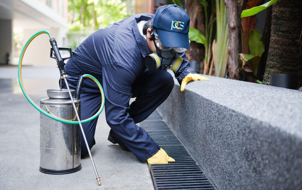 pest control service sydney